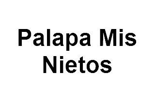 Palapa Mis Nietos Logo