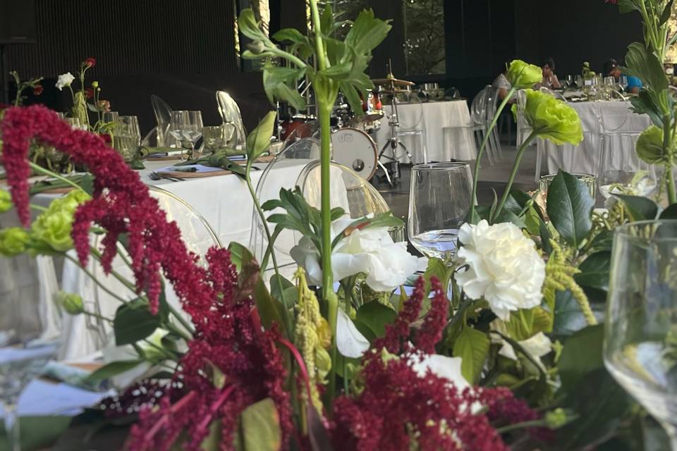 Boda 2.11.25