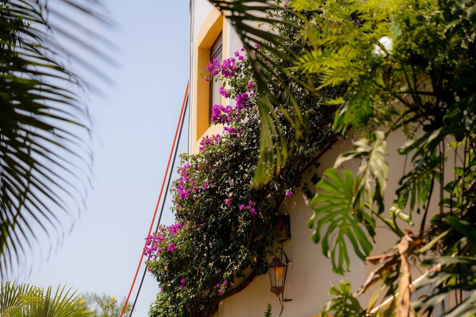 Dream Weddings in Mexico
