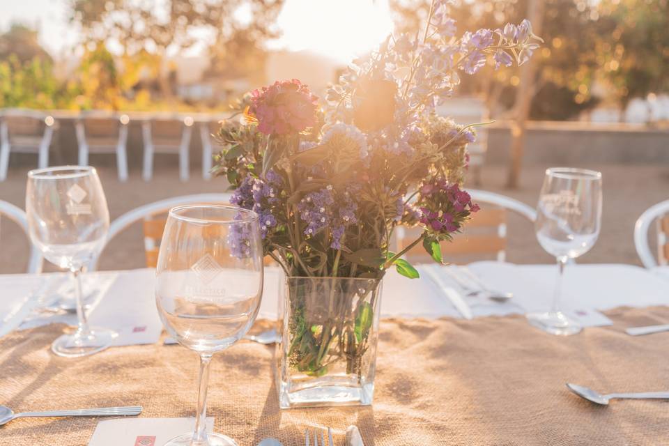 Boda civil campestre atardecer