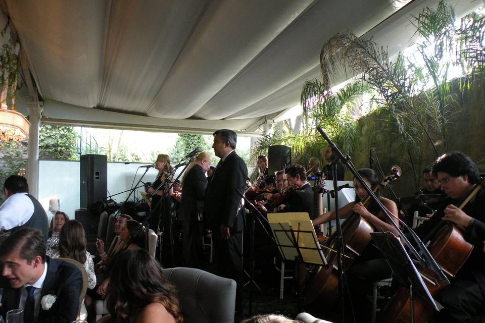 Orquesta