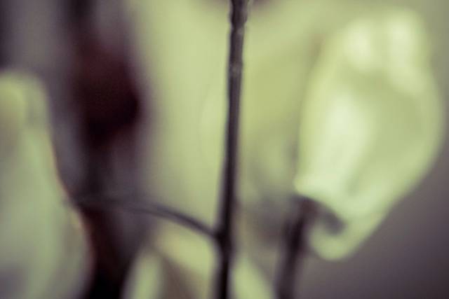 Detalles