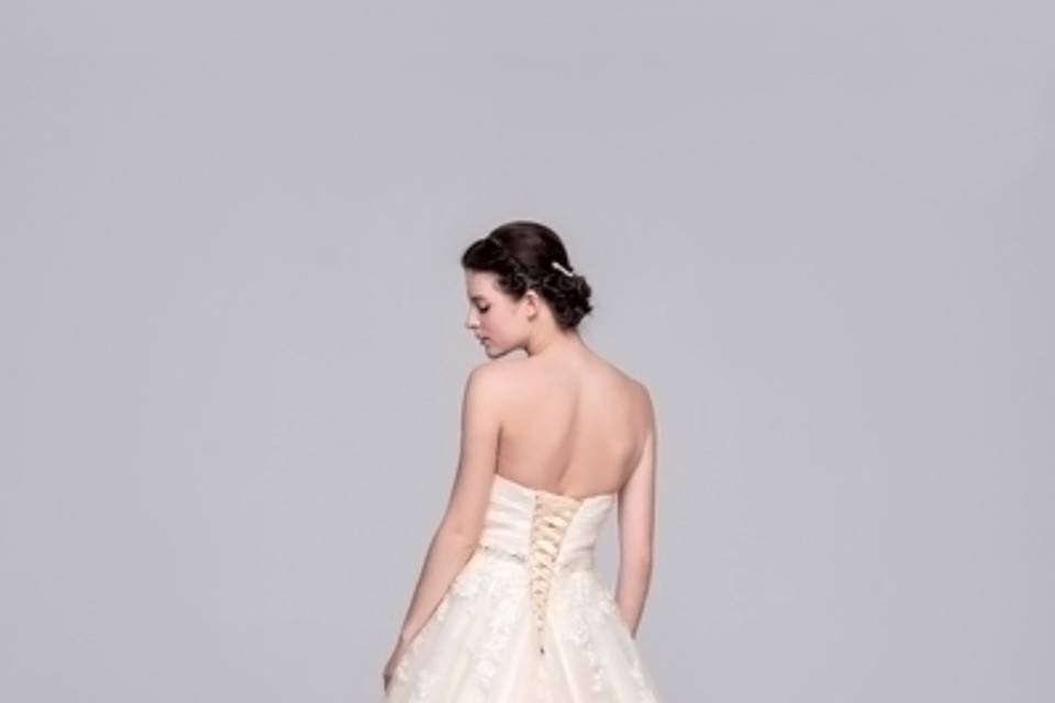 Carola Wedding & Evening Dresses