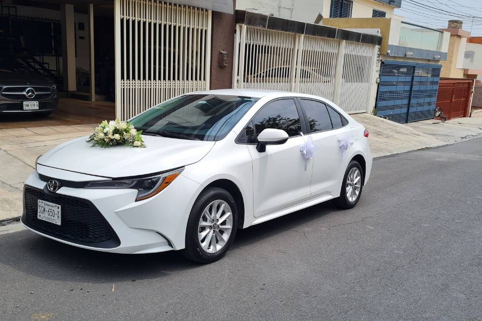 Corolla arreglo