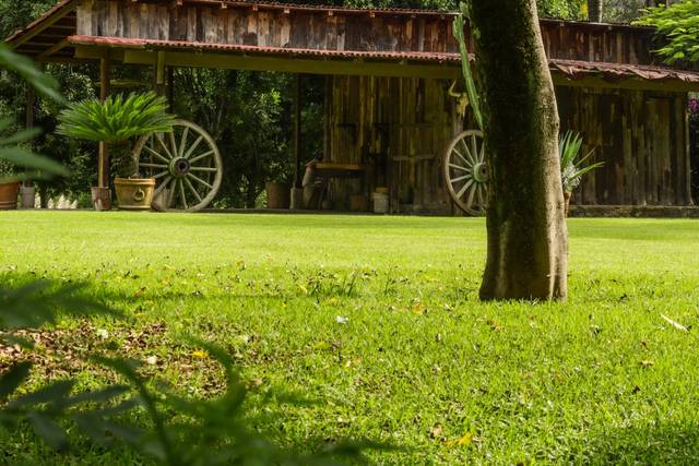 Jardín