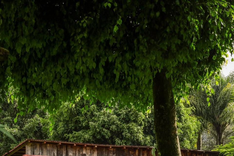 Jardín