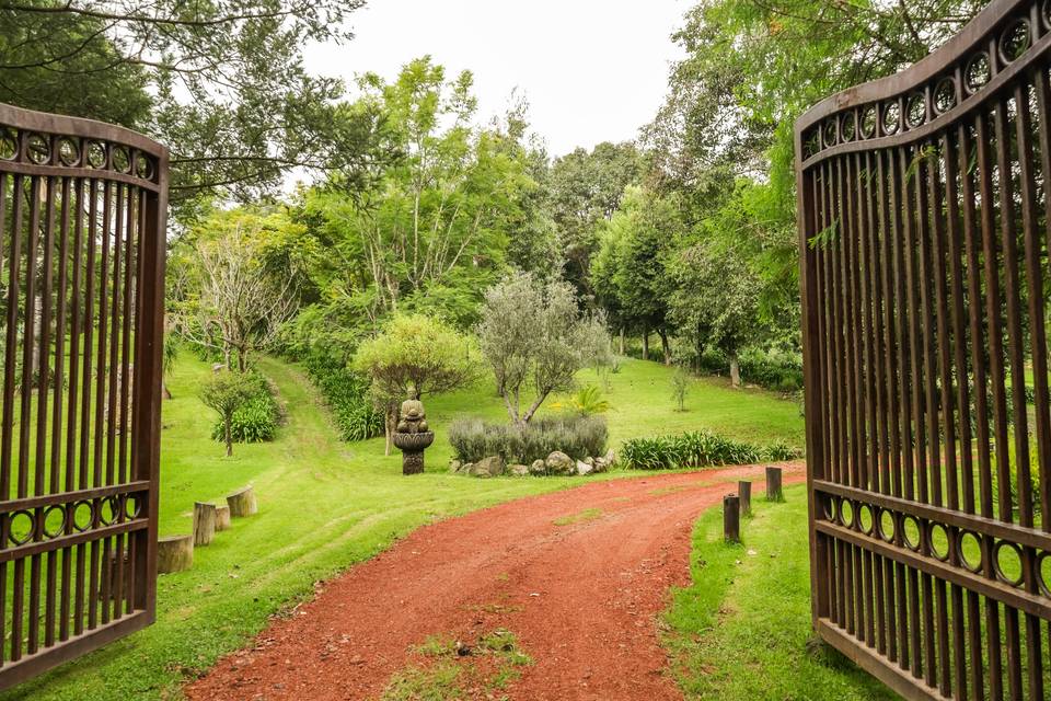 Entrada