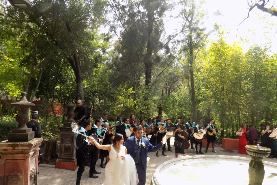 Novios celebrando en el parque