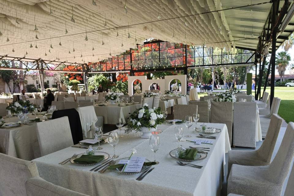Terraza