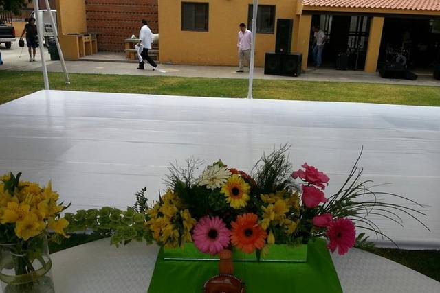 Profesionales a tu servicio