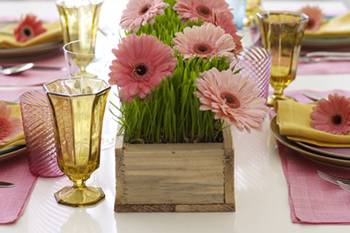 Centro de mesa  chico