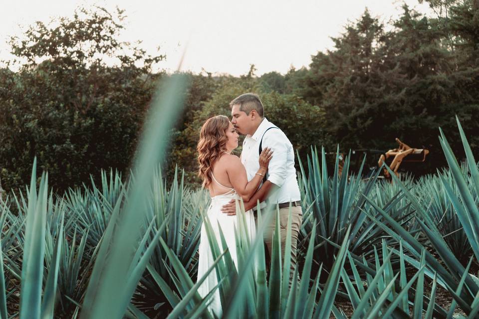 Sesión fotográfica boda