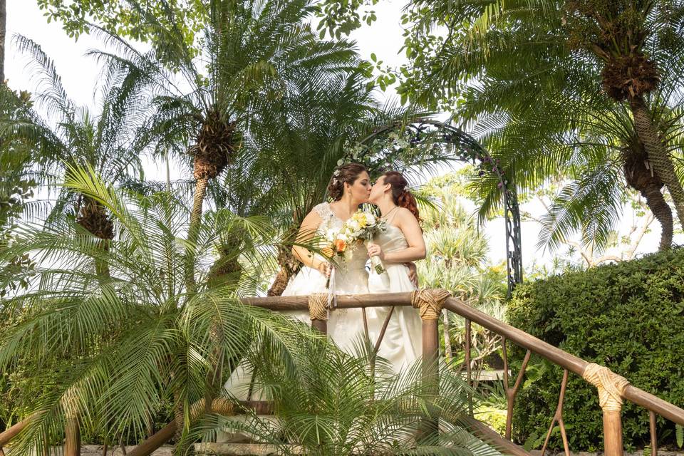Novias