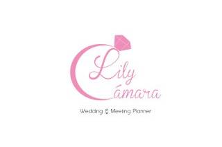 Lily Cámara Wedding Planner
