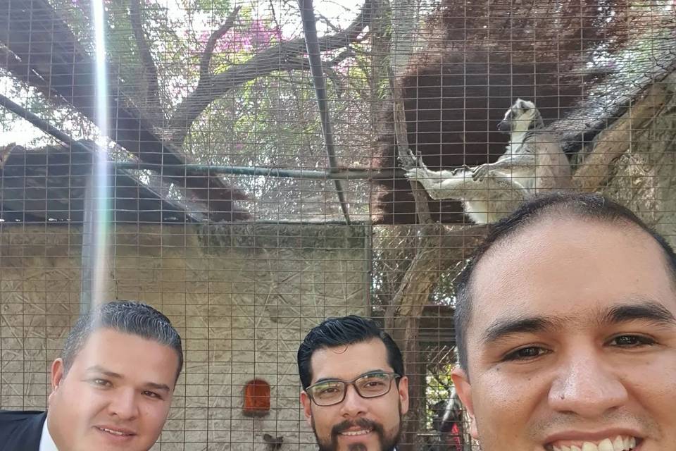 Los 3 Soles