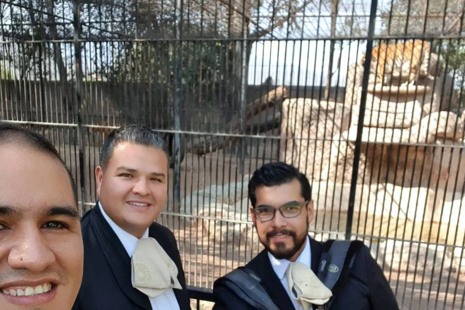 Los 3 Soles