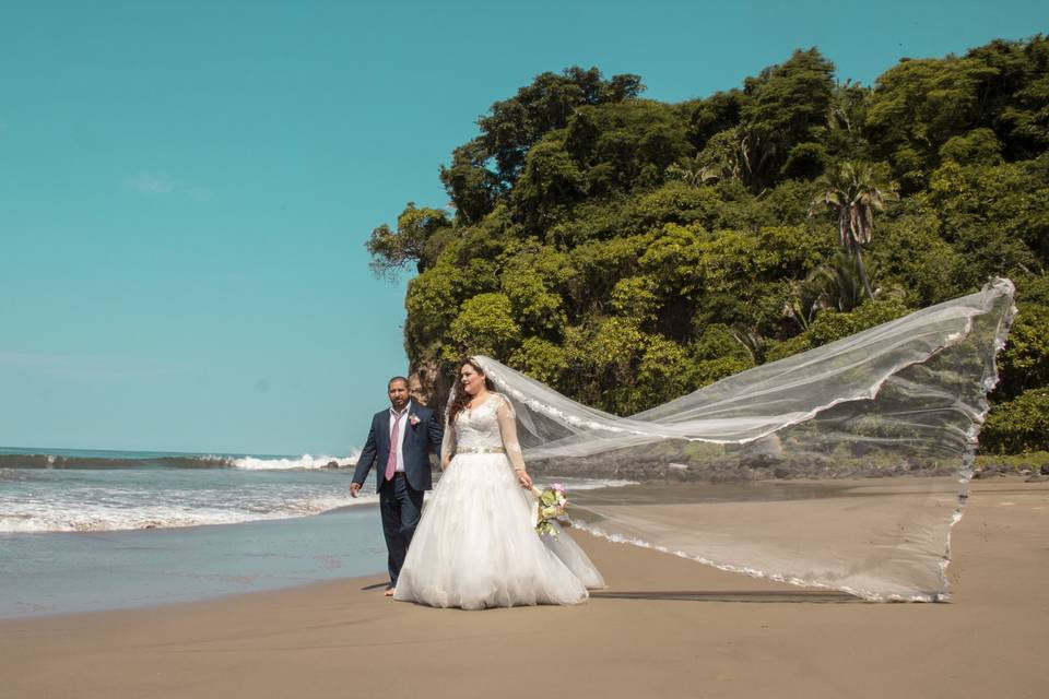 Trash the Dress