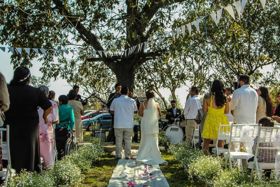 Aide & Enrique / Boda jardín