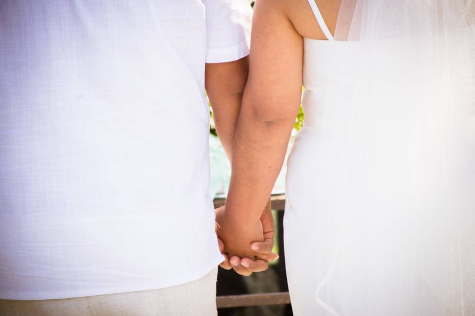 Aide & Enrique / Boda jardín