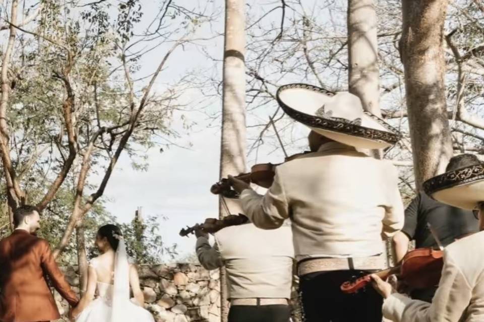 Boda Hacienda