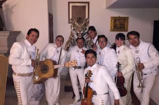 Mariachi de mi País