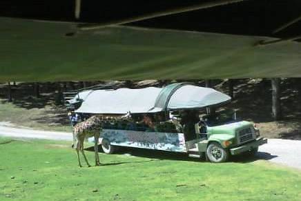 Excursiones familiares