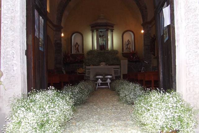 Pasillo con guipsofilia