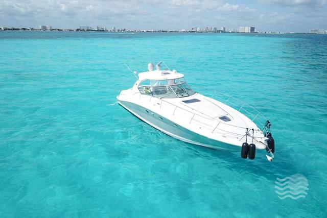 Searay 44