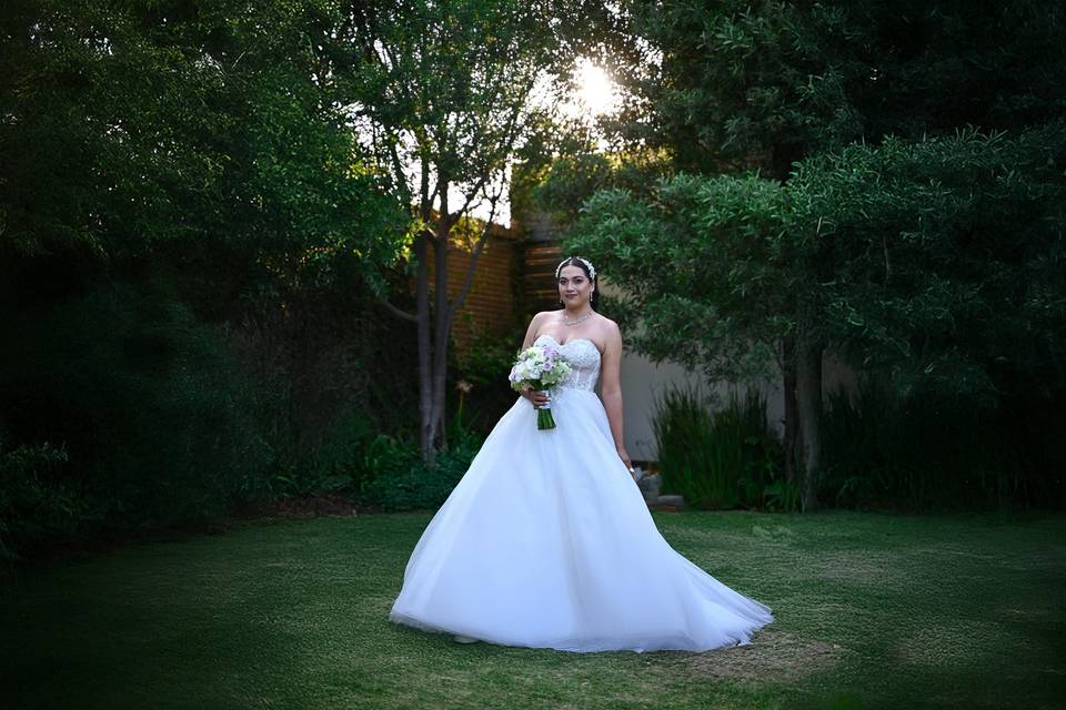 Guillermo Fotografía