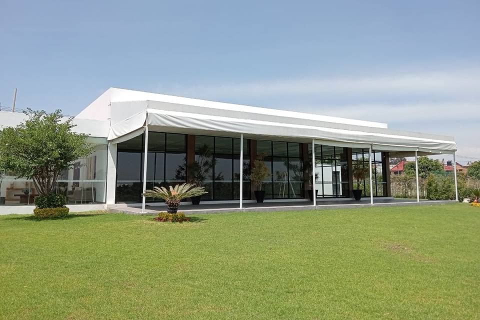 El Olivo