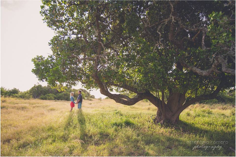 Estefanía Romero Photography