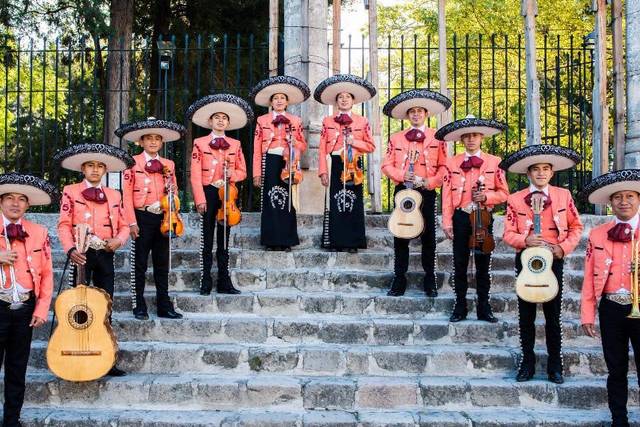 Mariachi M5