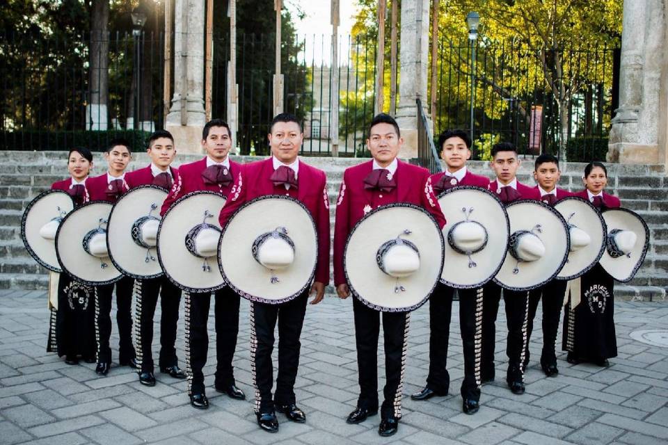 Mariachis para su boda