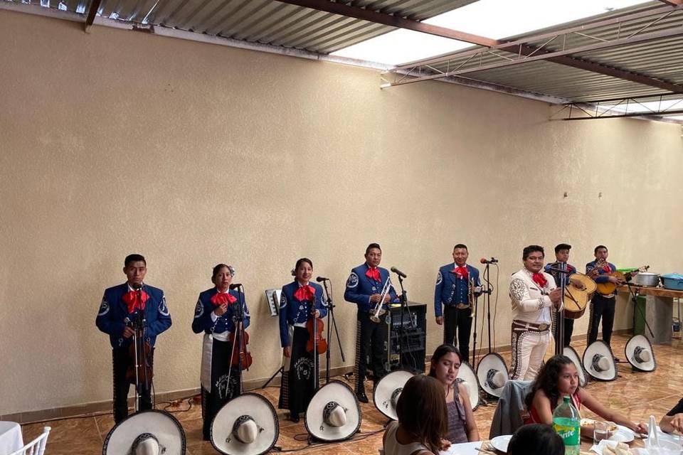 Mariachi M5