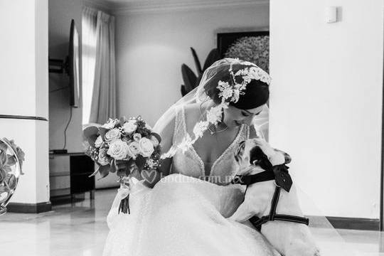 Daniela Romo Fotografia