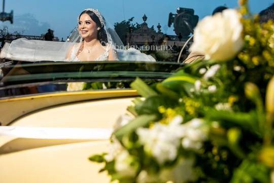 Daniela Romo Fotografia