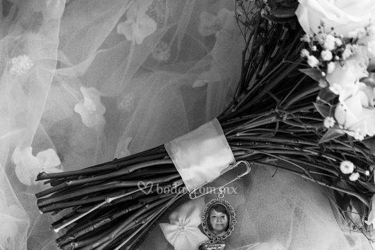 Daniela Romo Fotografia