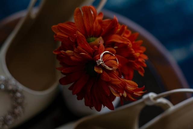 Anillo