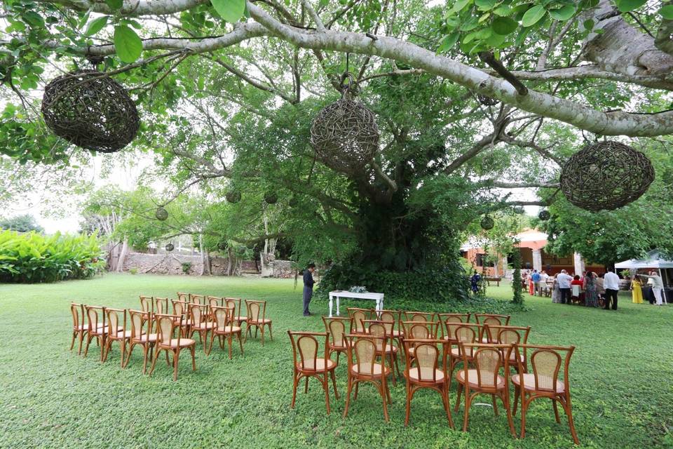 Jardín del álamo