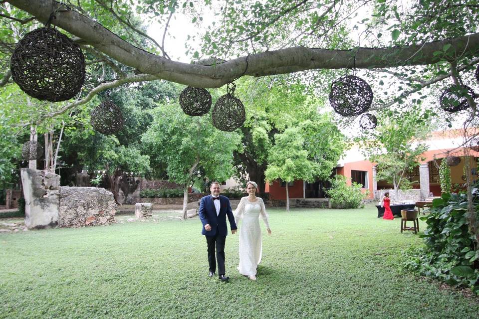 Novios