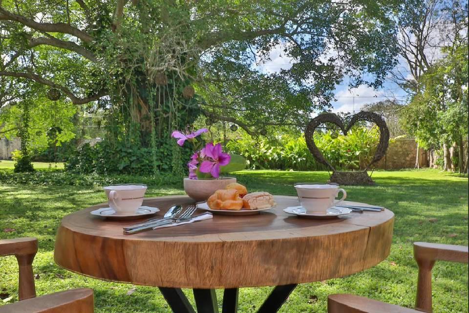 Jardin