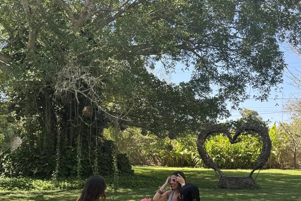 Jardín