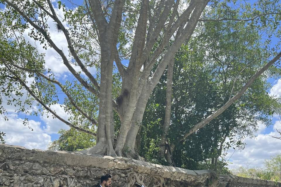 Álamo