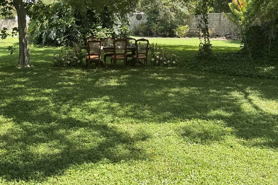 Jardin