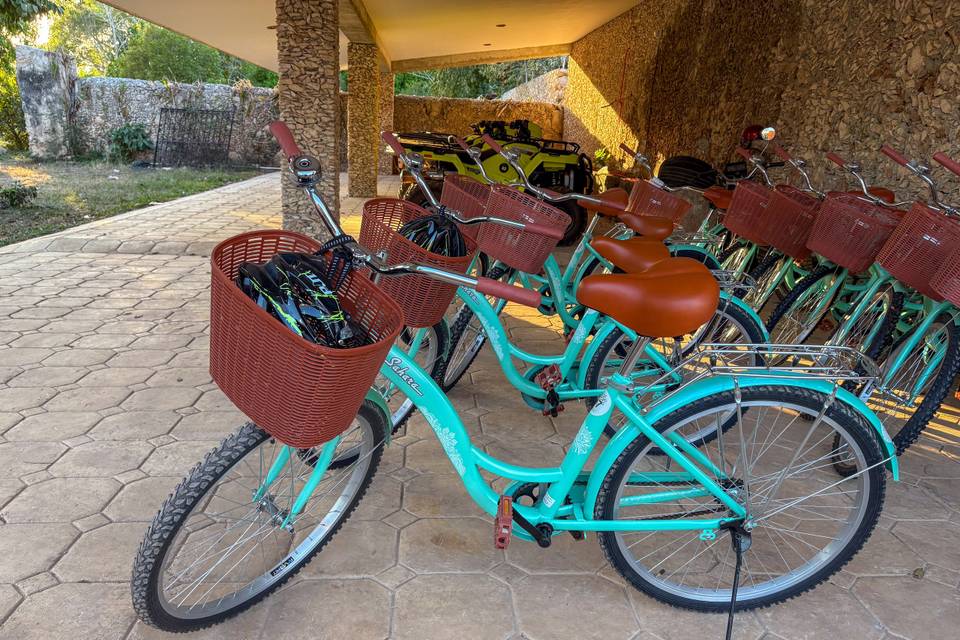 Tour en bicicleta