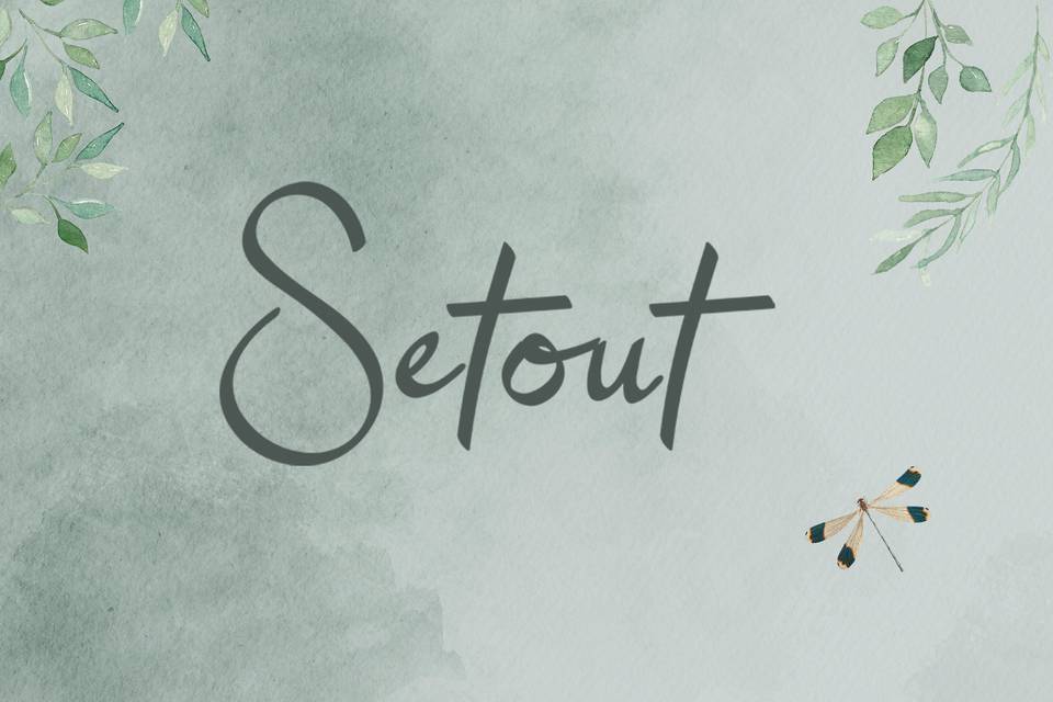 Setout - Renta de muebles