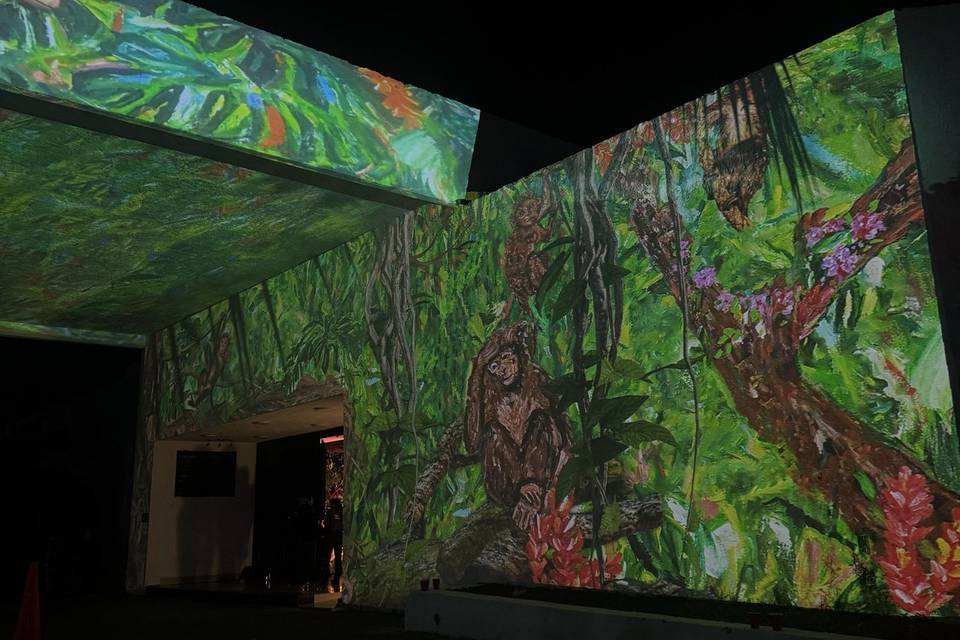 Videomapping - Club Campestre