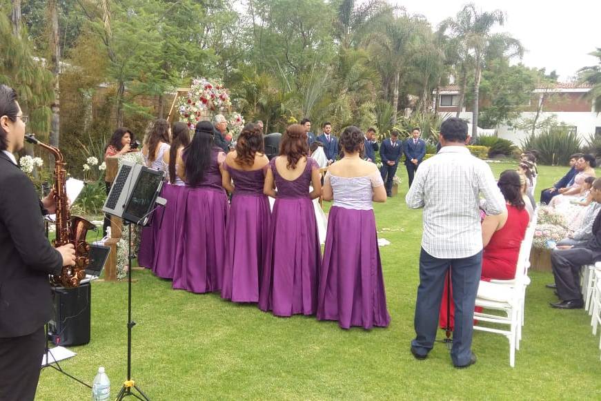 Servicio al aire libre