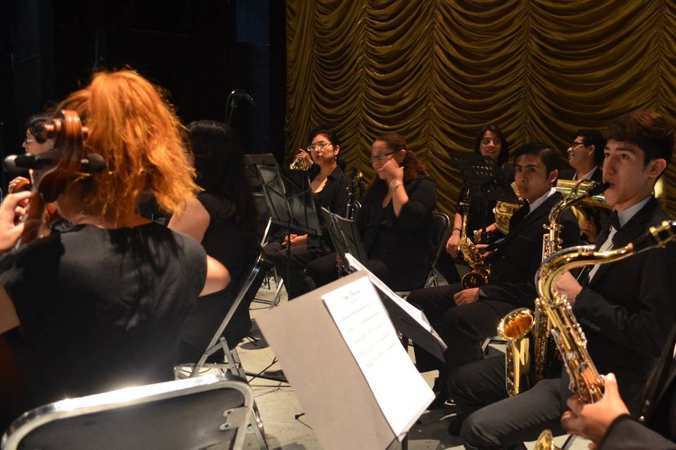 Sección sinfónica de cañas