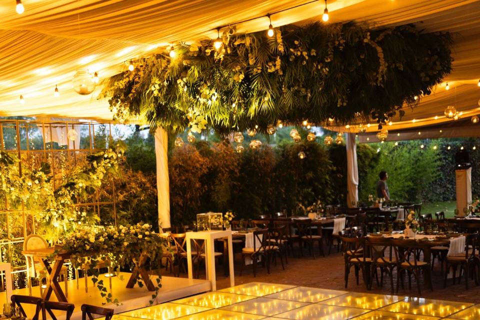 Bodas